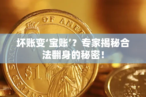 济南坏账变‘宝账’？专家揭秘合法翻身的秘密！