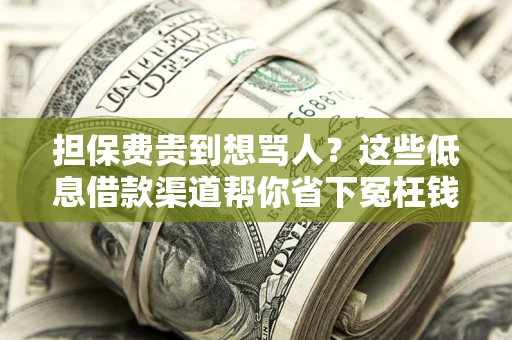 济南担保费贵到想骂人？这些低息借款渠道帮你省下冤枉钱