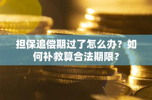 济南担保追偿期过了怎么办？如何补救算合法期限？
