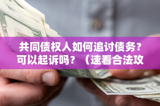 济南共同债权人如何追讨债务？可以起诉吗？（速看合法攻略）